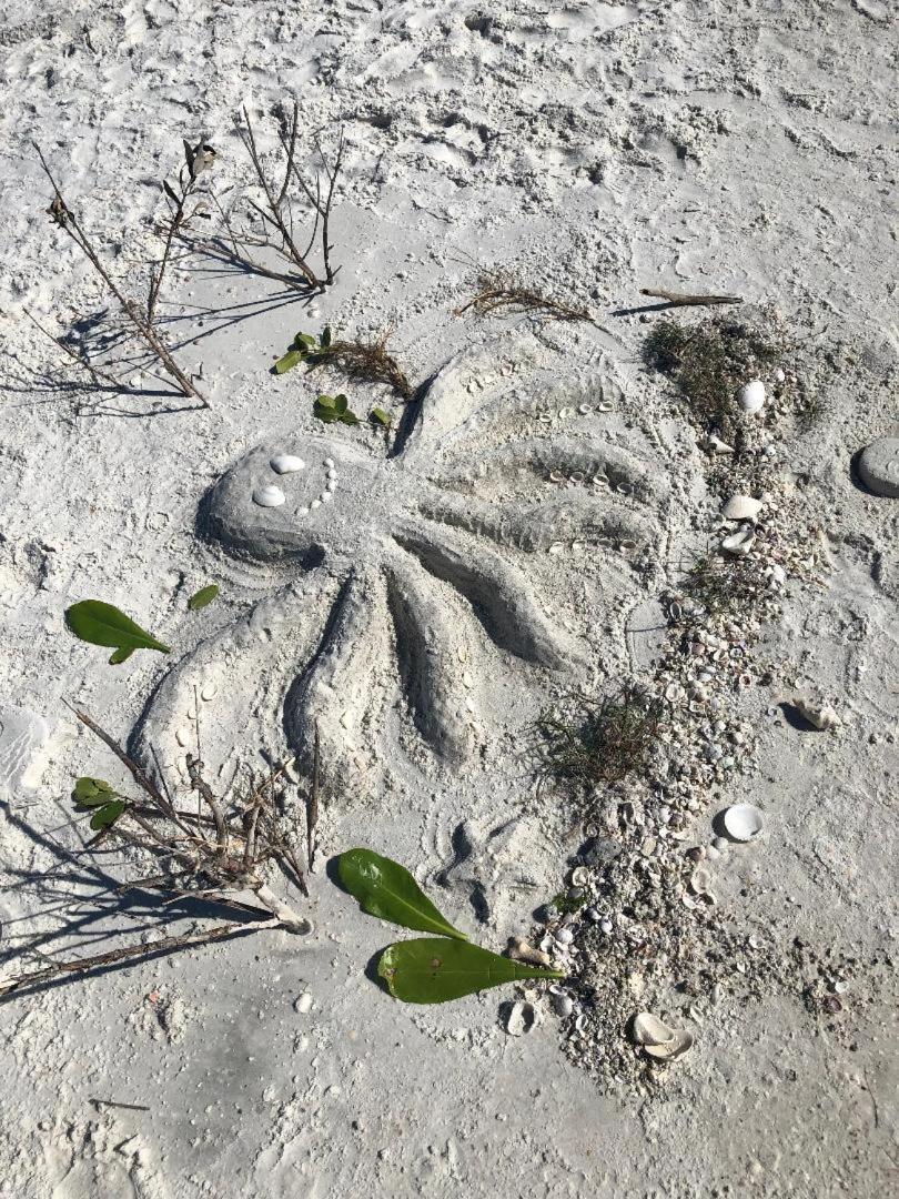 Welcome To The Paradise Fort Myers Beach Exteriör bild