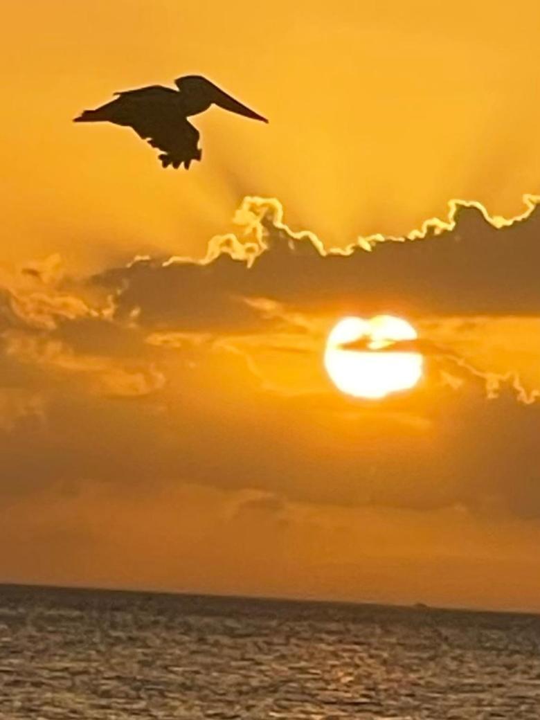 Welcome To The Paradise Fort Myers Beach Exteriör bild
